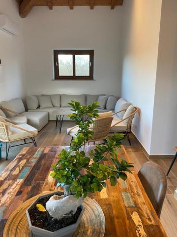 Vignanello Agriturismo Terre Di Nelio מראה חיצוני תמונה
